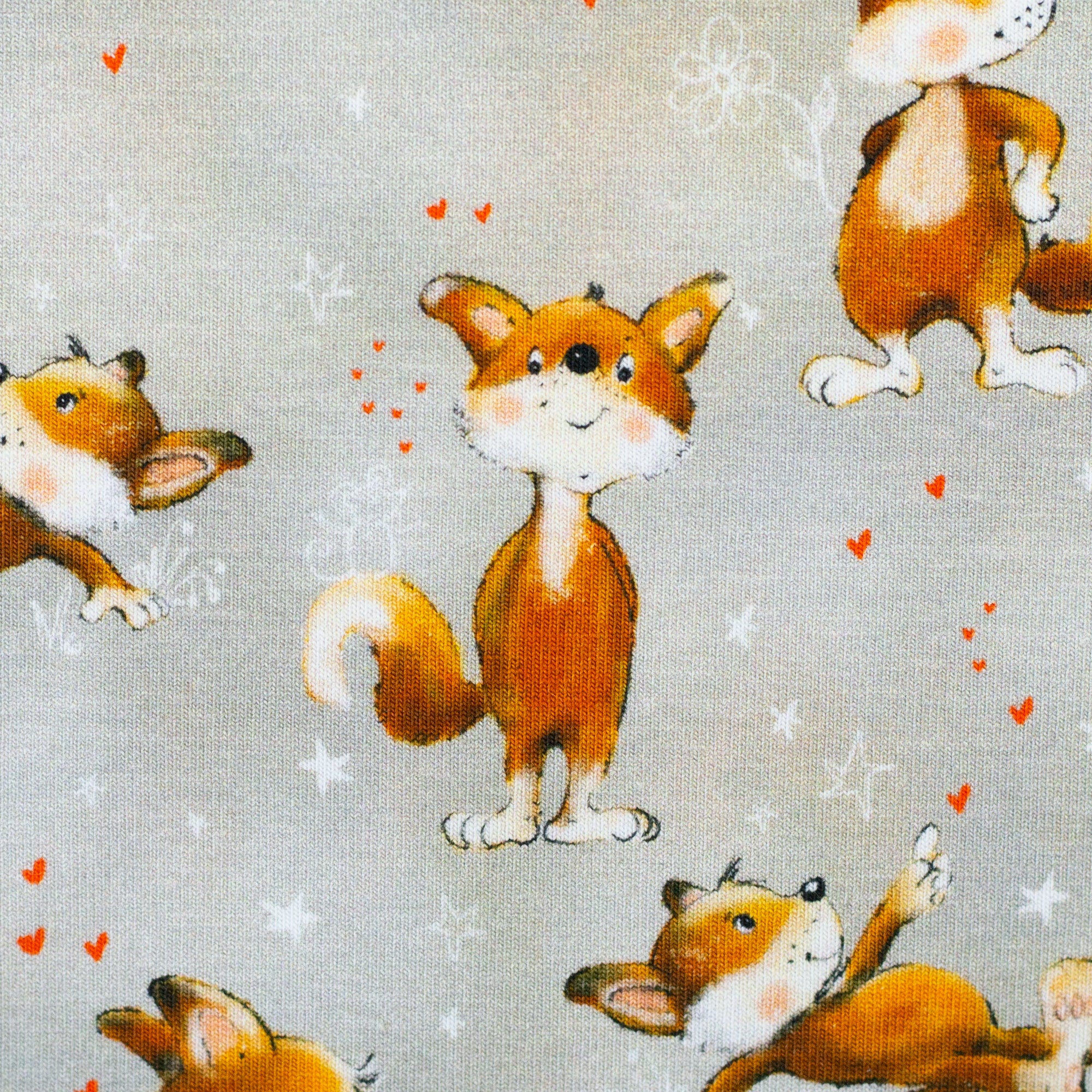 Jersey Fuchs auf grau