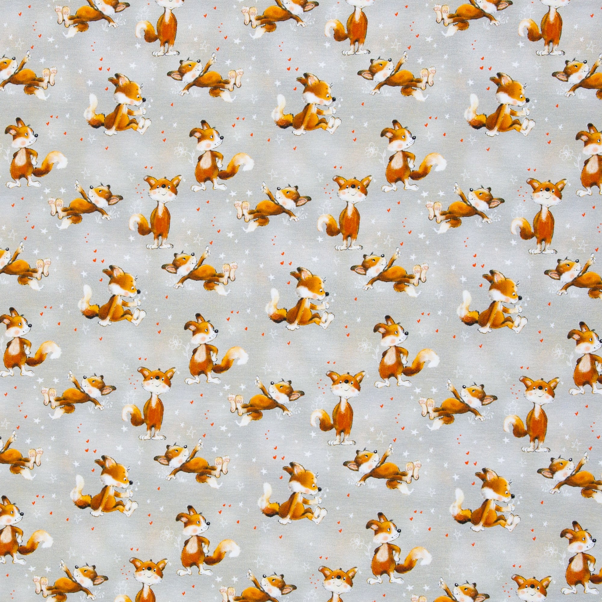 Jersey Fuchs auf grau