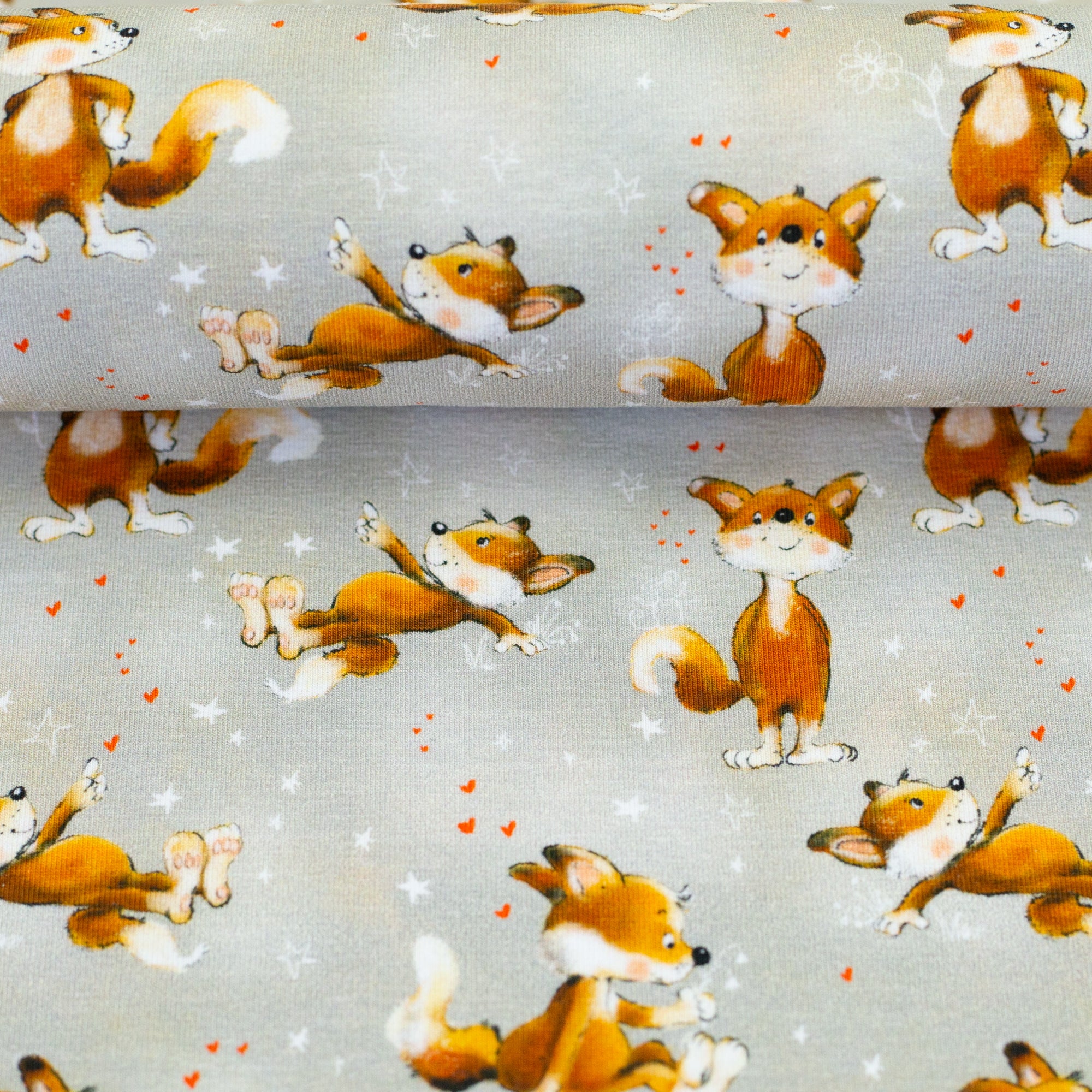 Jersey Fuchs auf grau