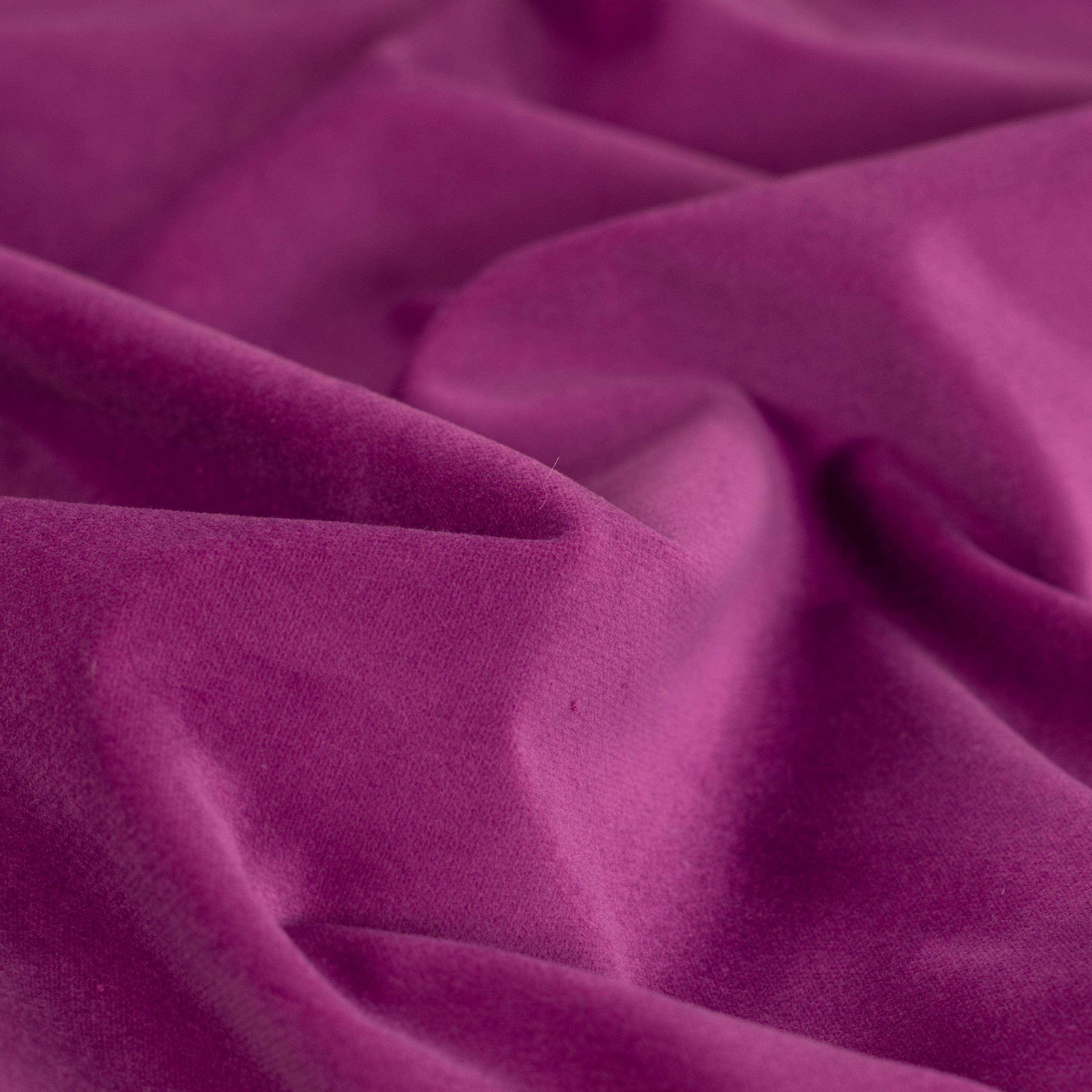 Baumwoll Velvet beere/violett Qjutie