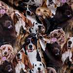 Lade das Bild in den Galerie-Viewer, Baumwollstoff - Hundemuster
